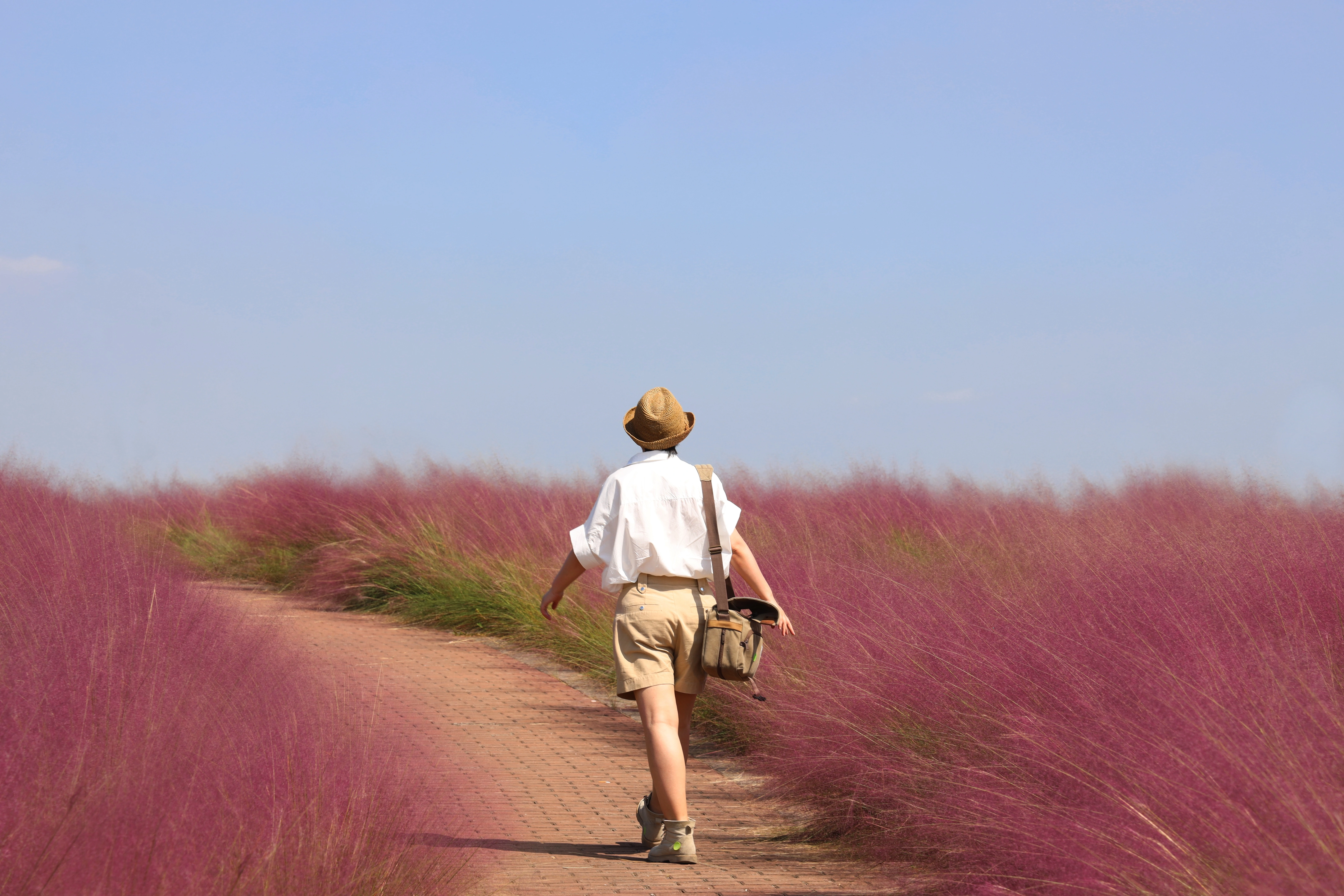 Walk on grassland